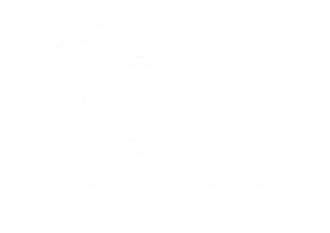 Kaybee-exports