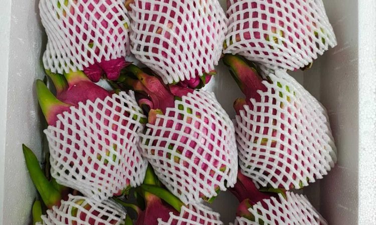 WhatsApp Image 2024-09-02 at 11.57.06 AM (1)