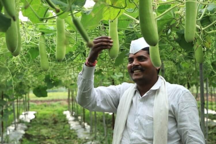 integrated fresh produce supply chain India
