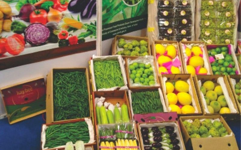 Fruits & Vegetables Exporter in India