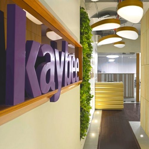 Untitled-design-1-1-500x500