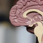 Understanding Peripheral Neuropathy